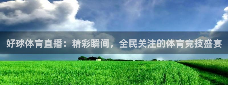 好球体育直播：精彩瞬间，全民关注的体育竞技盛宴
