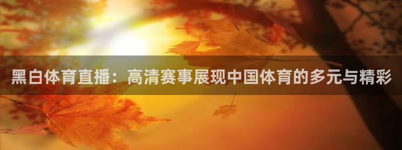 黑白体育直播：高清赛事展现中国体育的多元与精彩