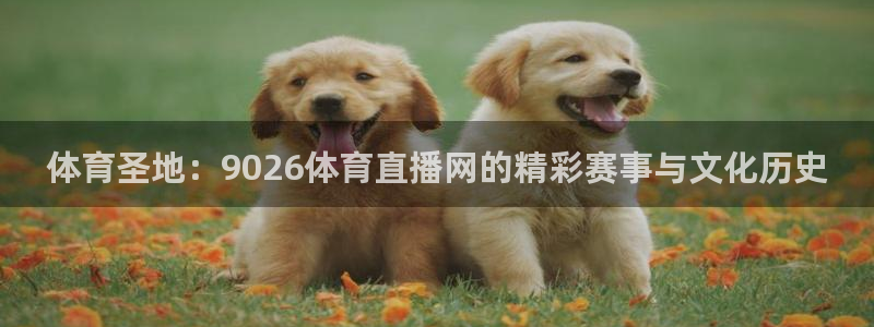 体育圣地：9026体育直播网的精彩赛事与文化历史